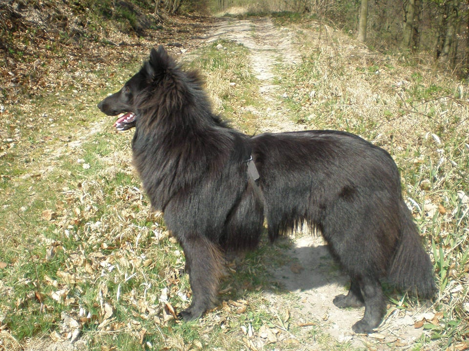 Heimdall + Delois 5