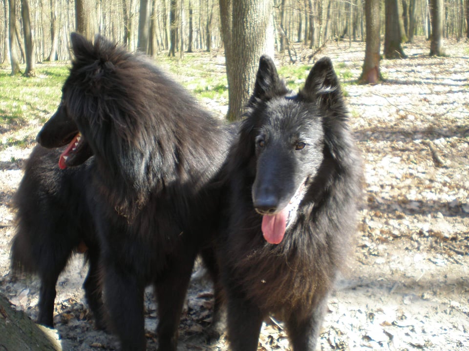 Heimdall + Delois 7