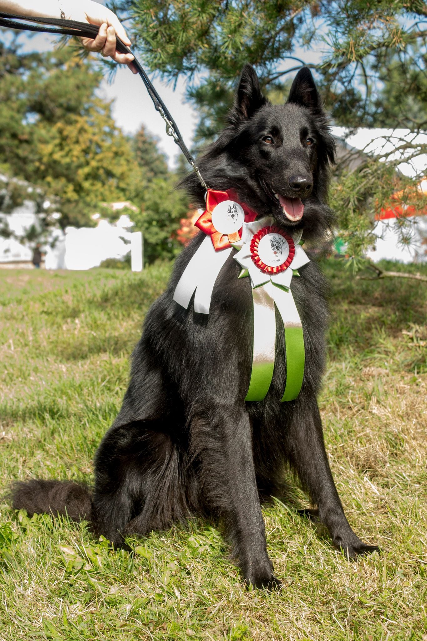 14 months NVP Olomouc 1