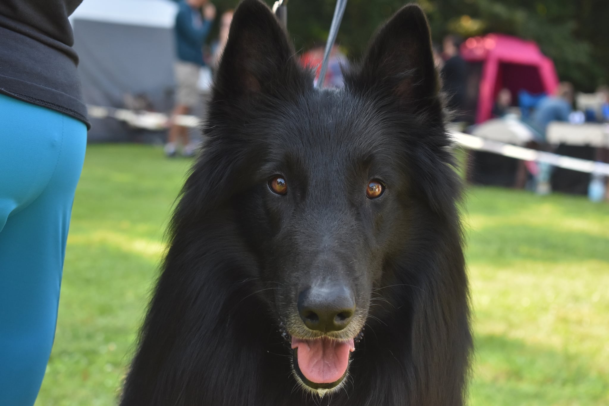 3.5 years show 30