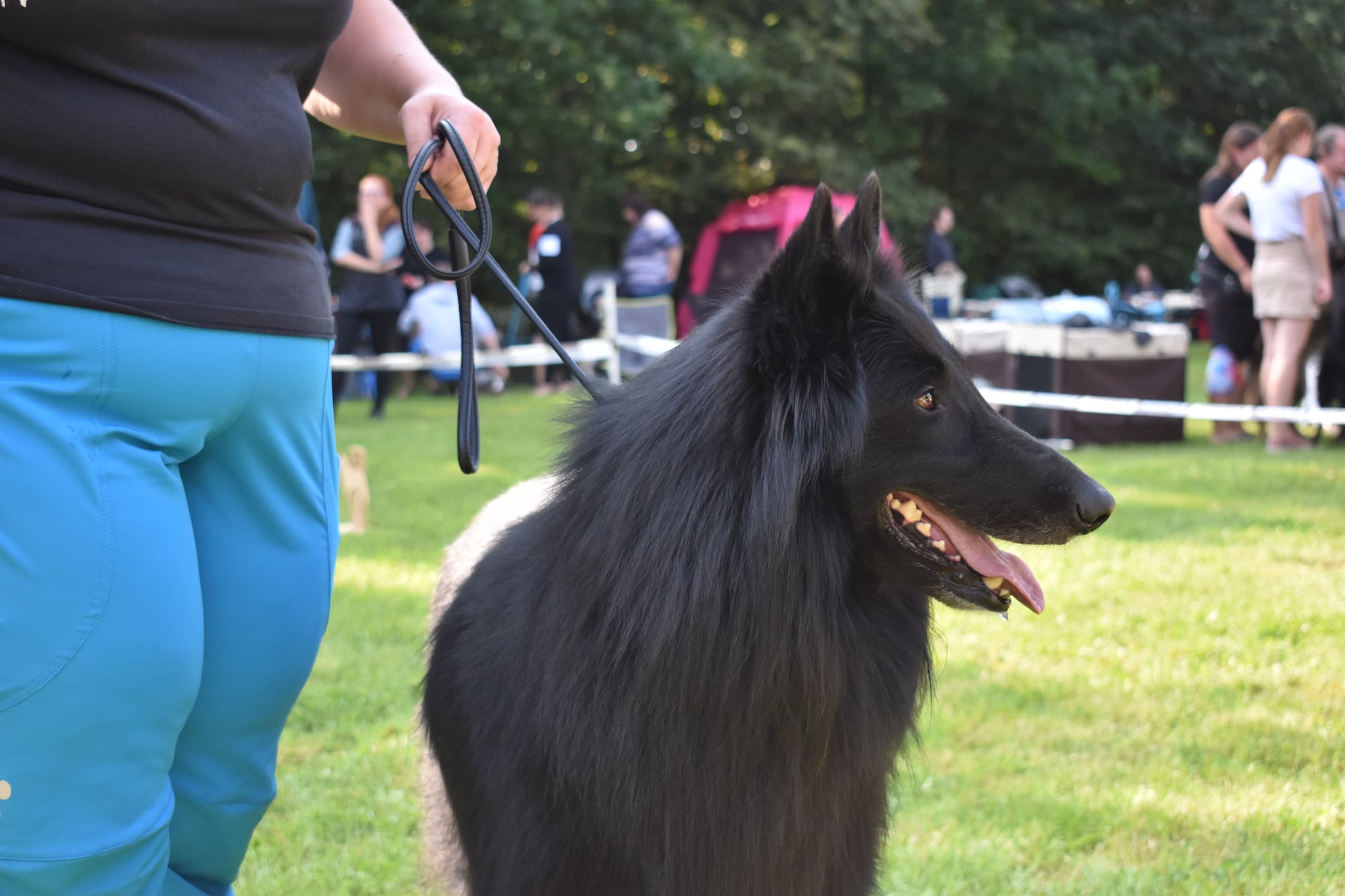 3.5 years show 34