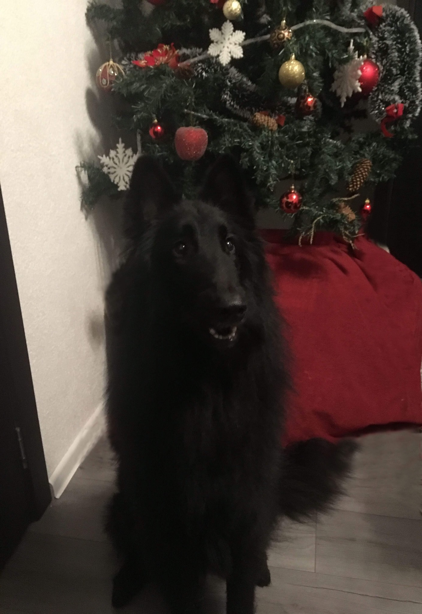 1.5 years 1
