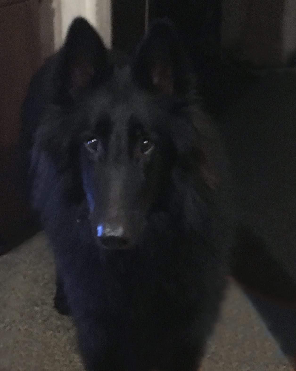 1.5 years 2