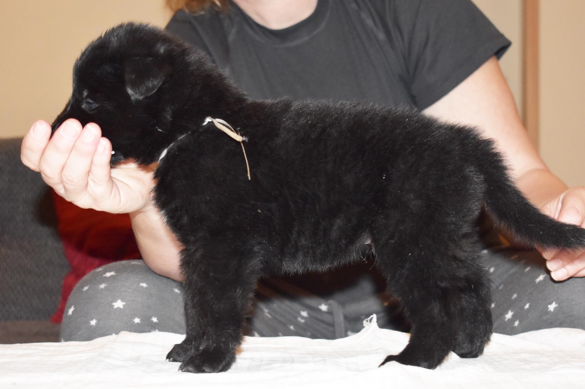 4 weeks old
