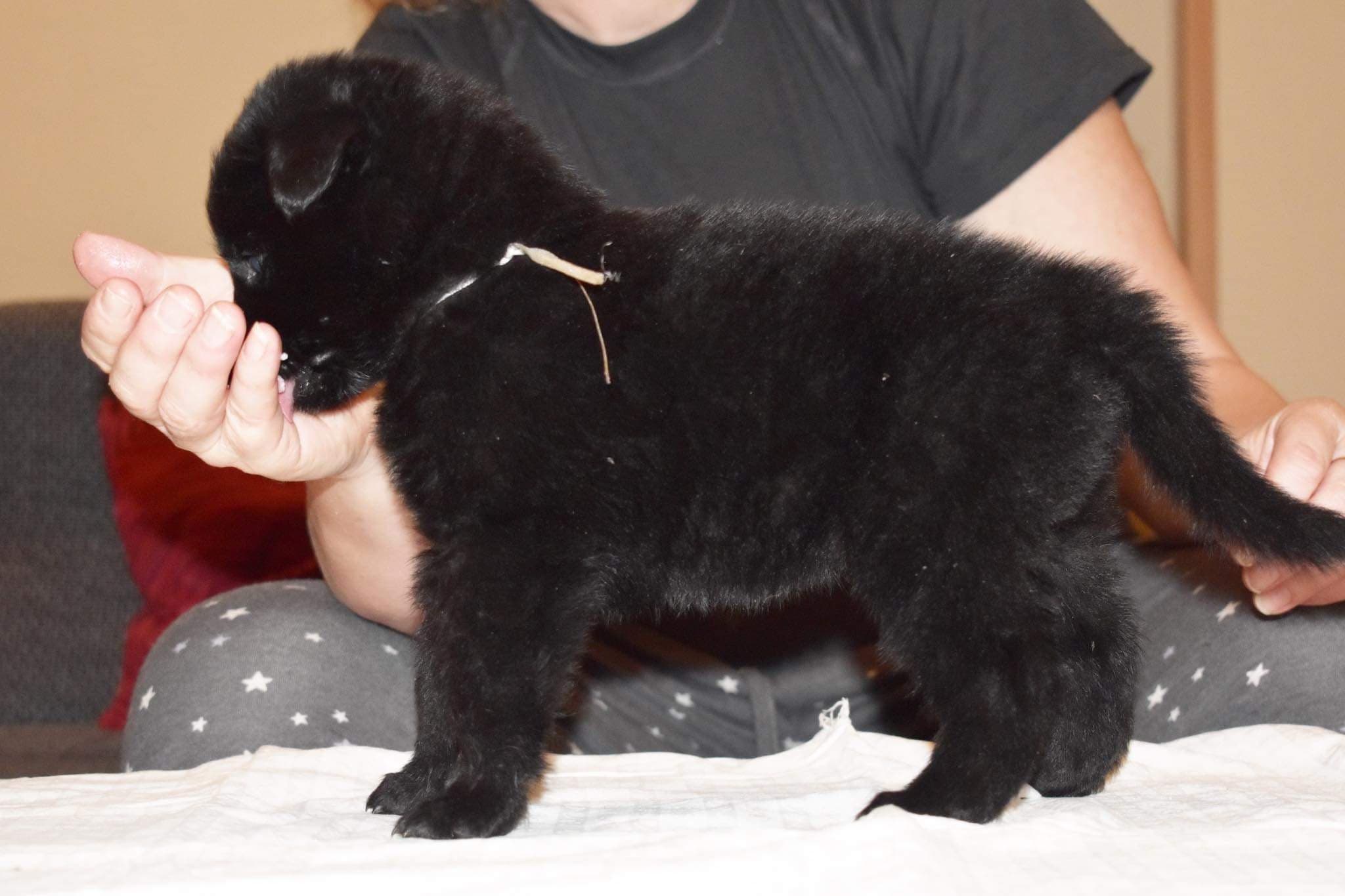 4 weeks old