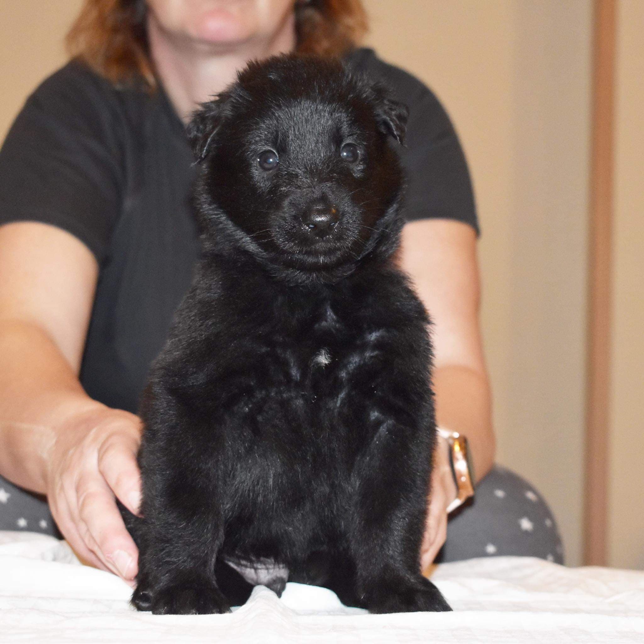 4 weeks old 3
