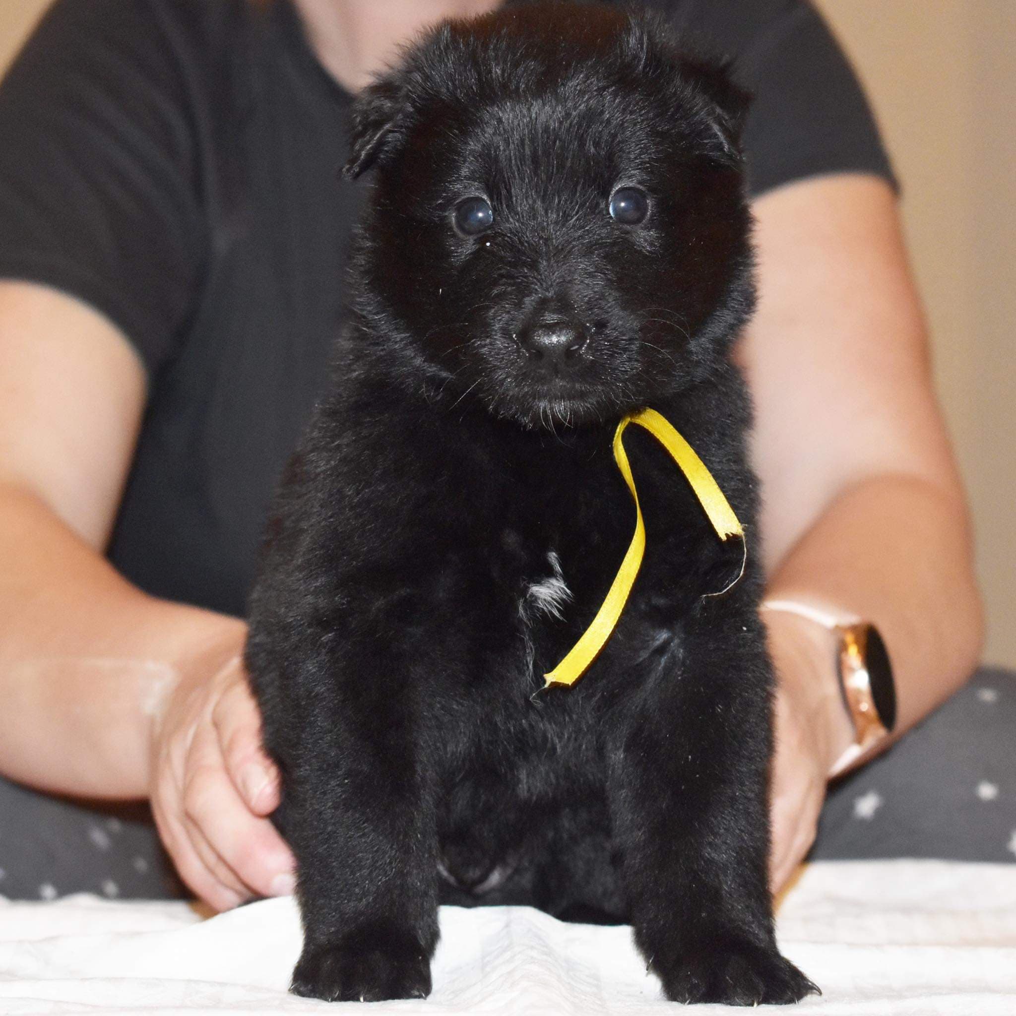4 weeks old 4