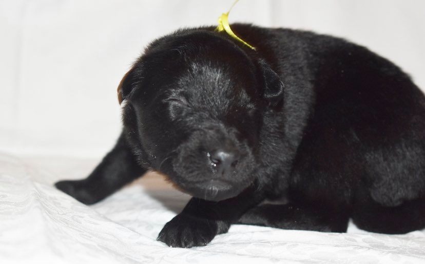 2 weeks old 2