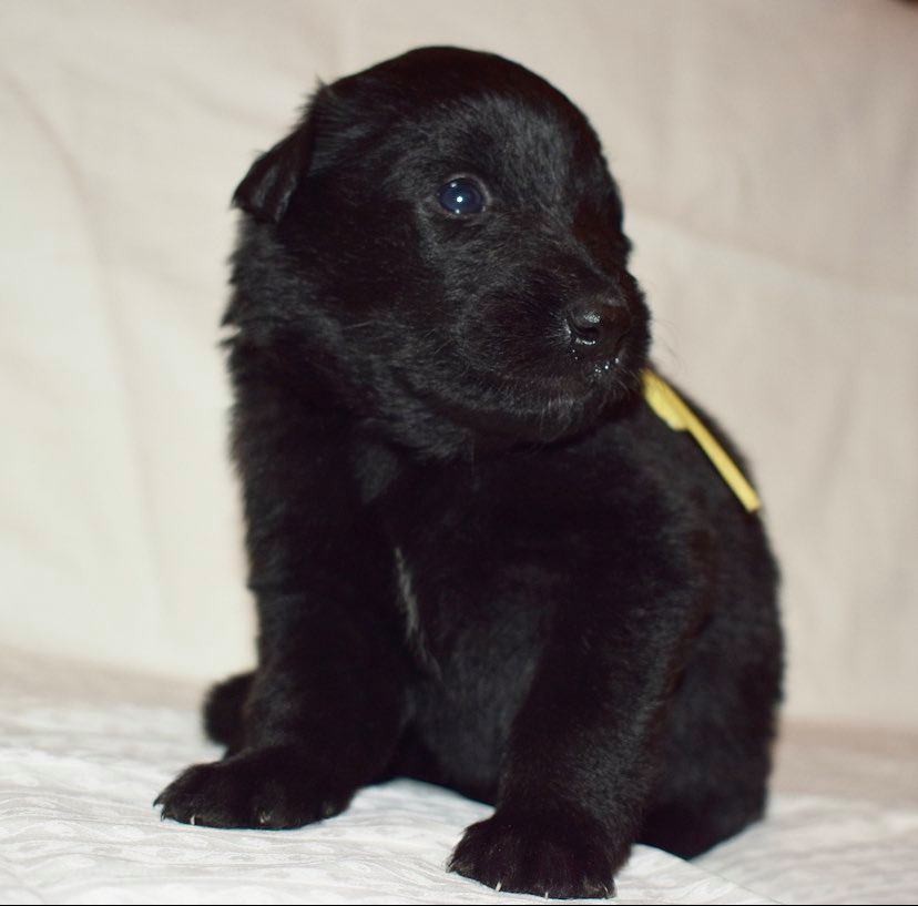 3 weeks old 2