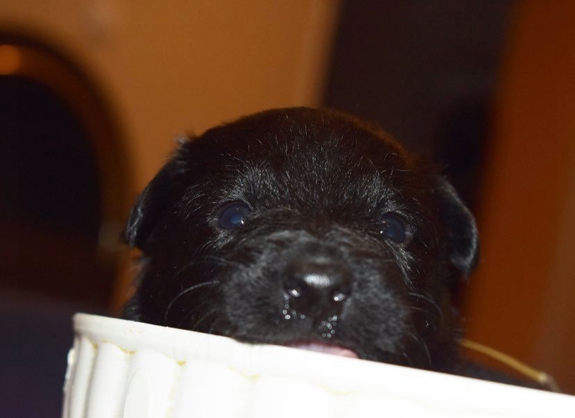 3 weeks old 4