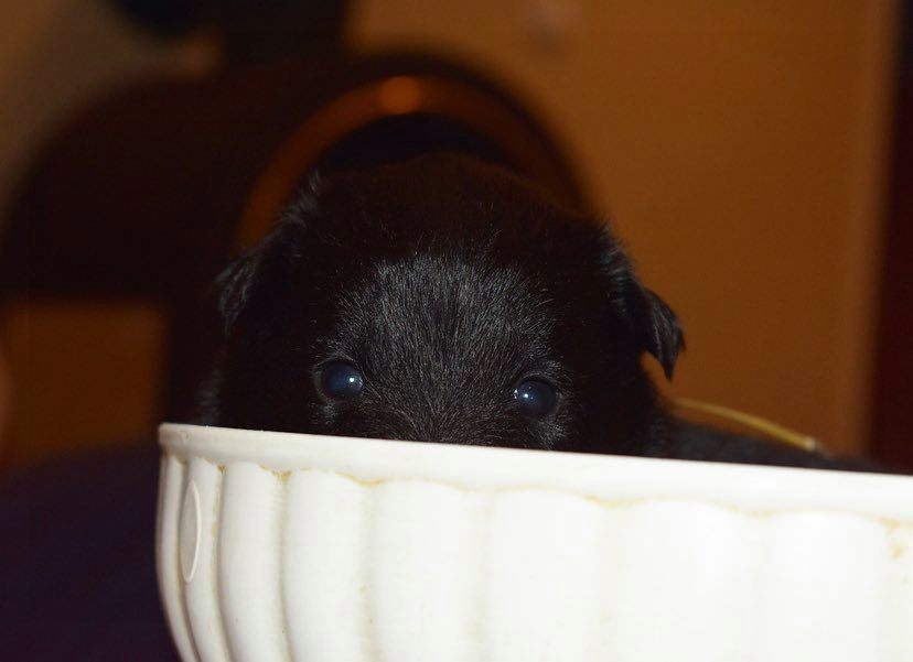 3 weeks old 5
