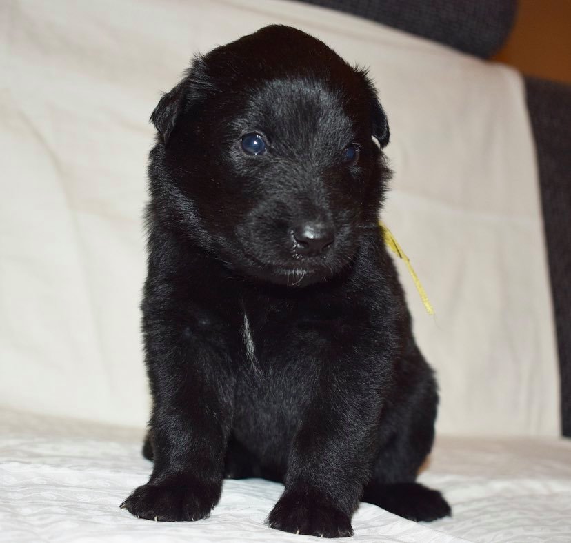 3 weeks old 6