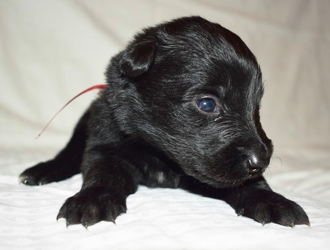 3 weeks old 2