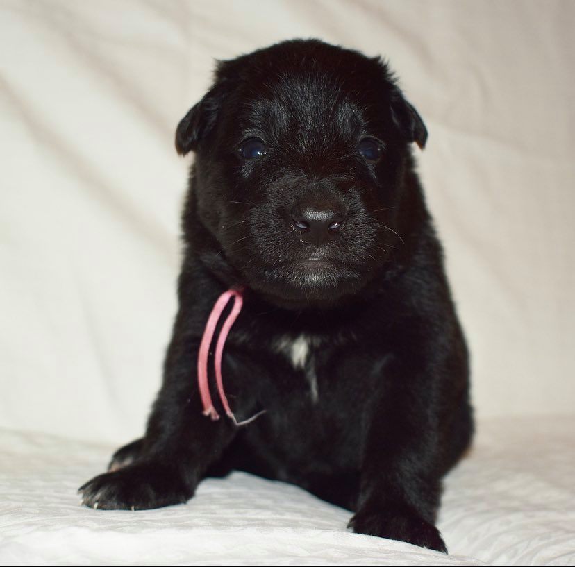 3 weeks old 2