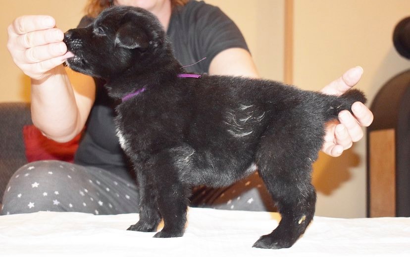 4 weeks old 1