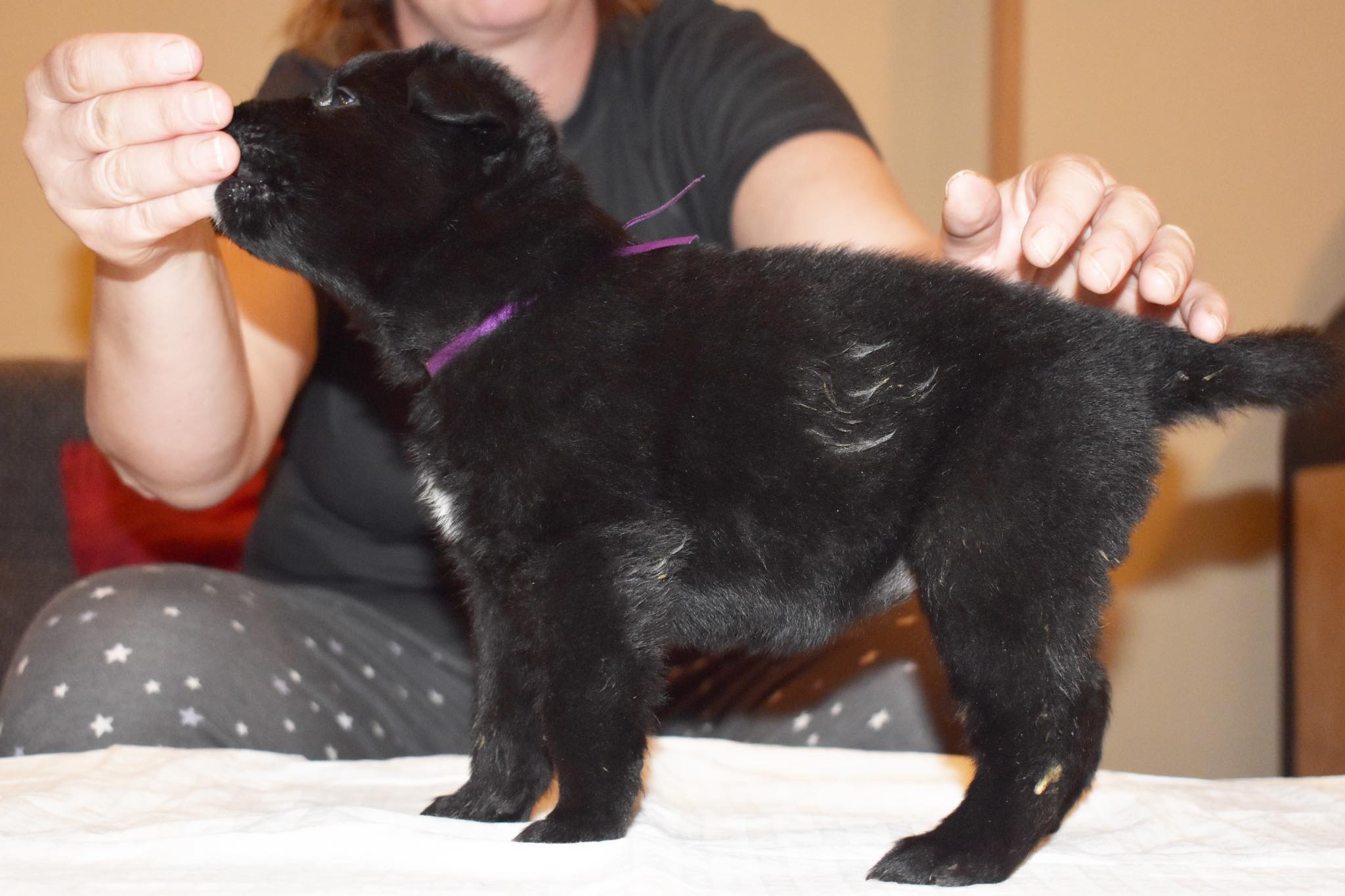 4 weeks old 2