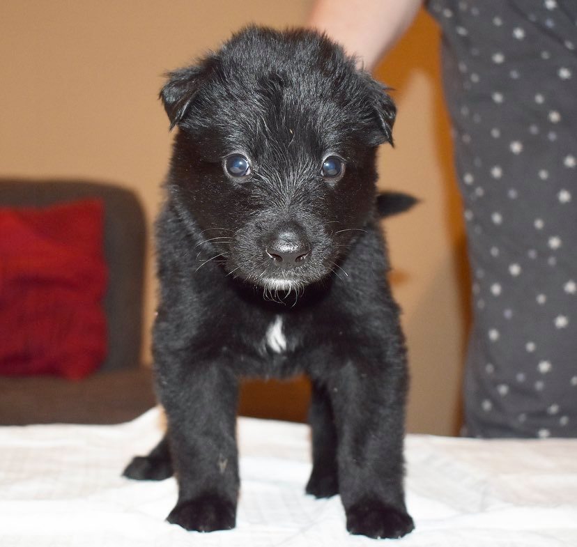 4 weeks old 3