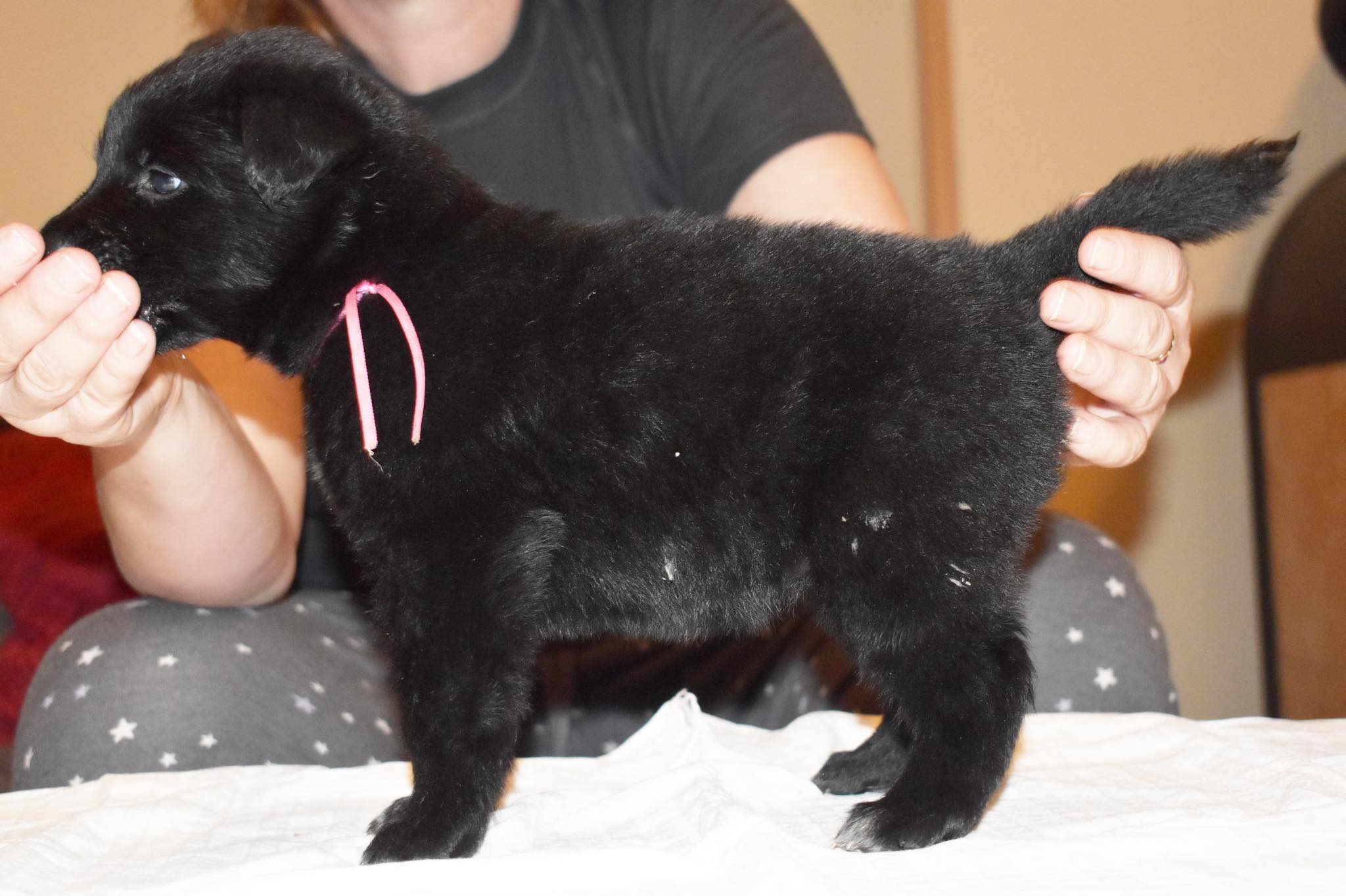 4 weeks old 1