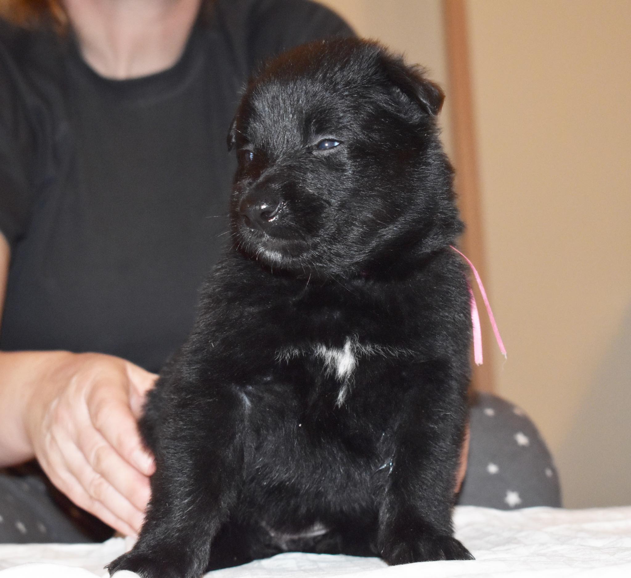 4 weeks old 3