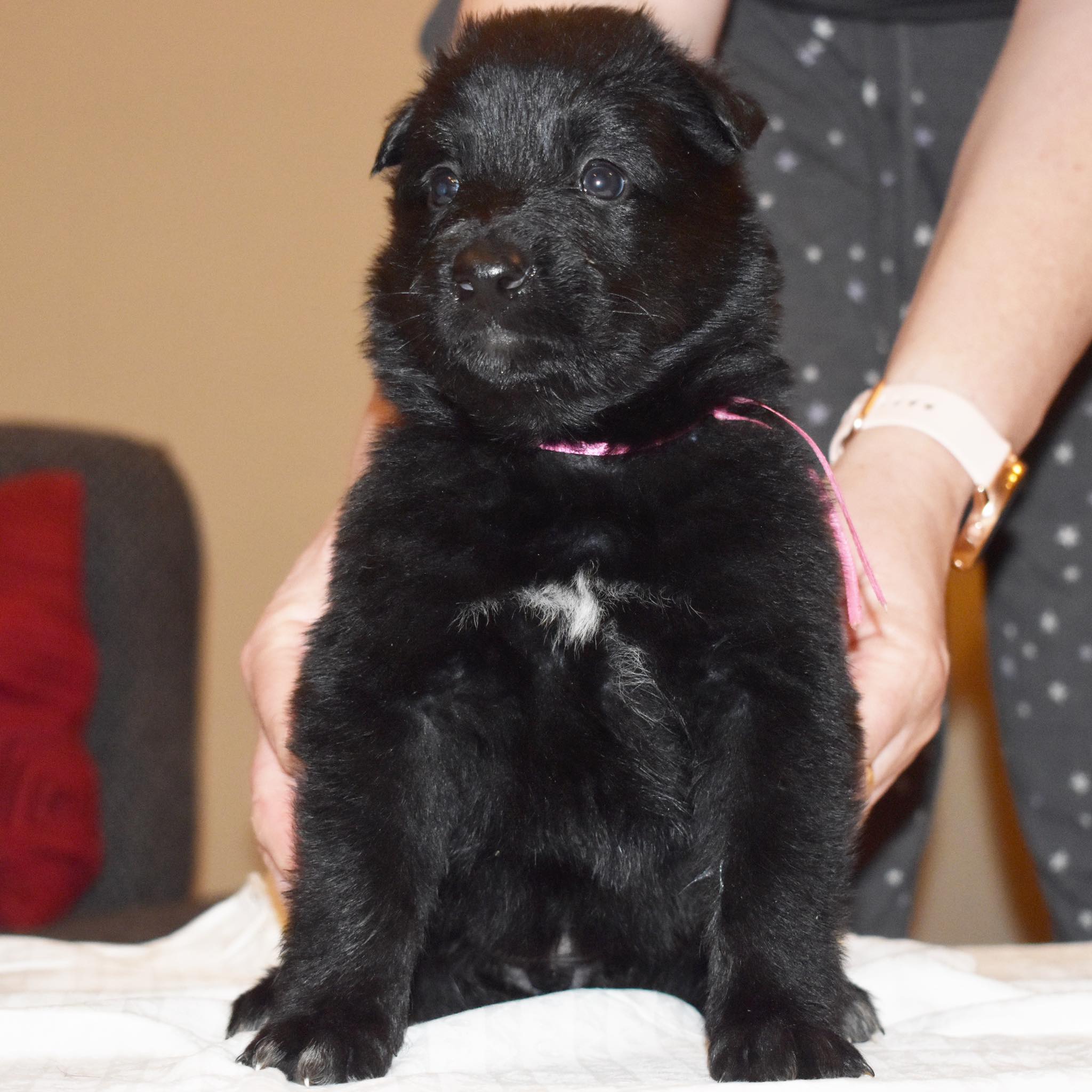 4 weeks old 4