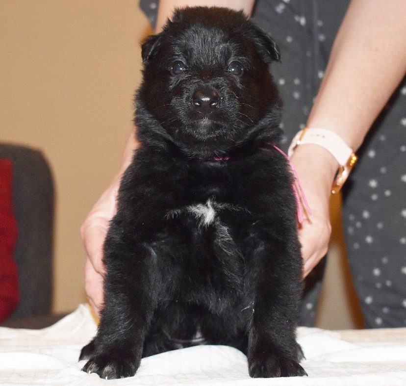 4 weeks old 5