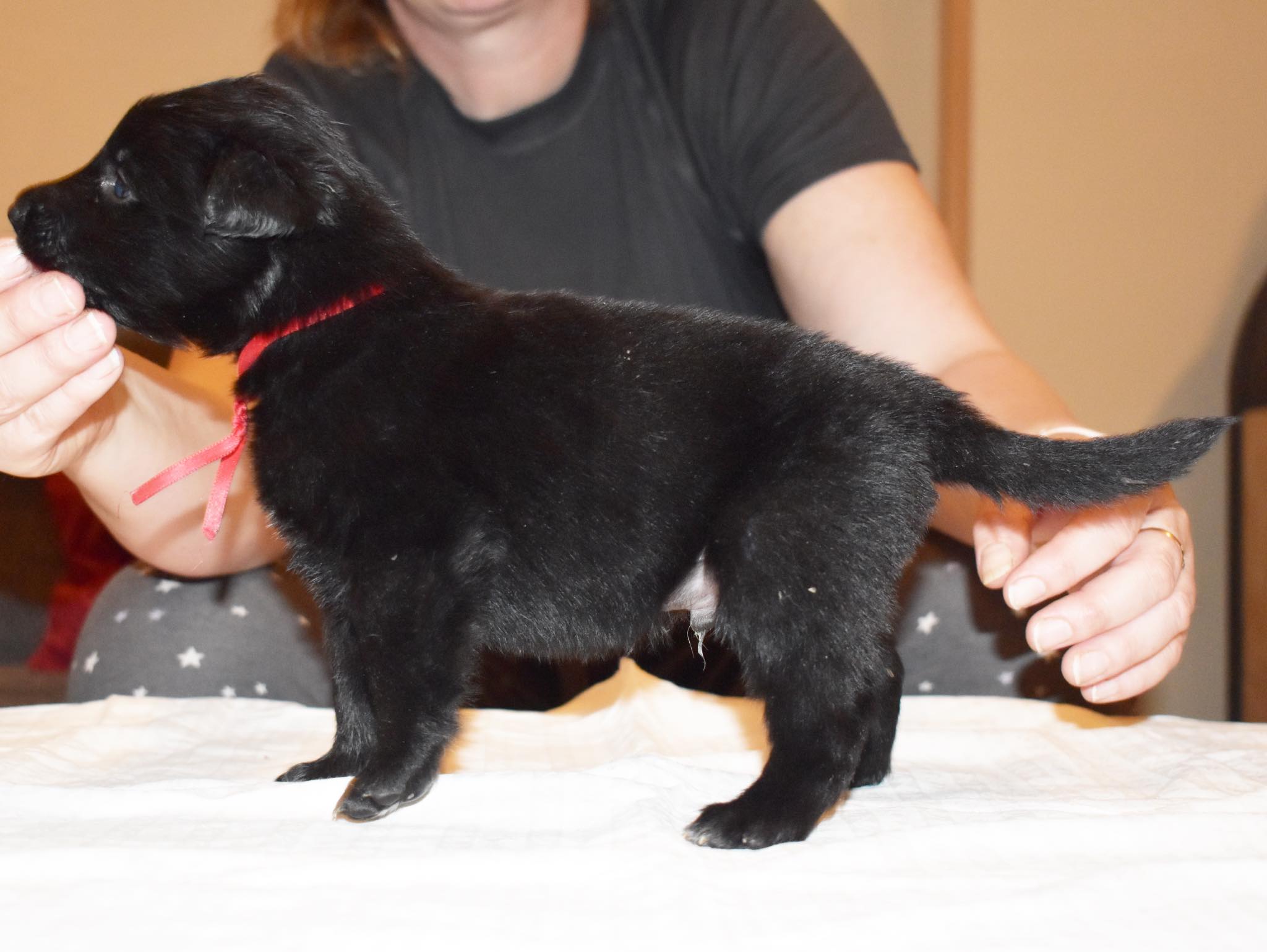 4 weeks old 1