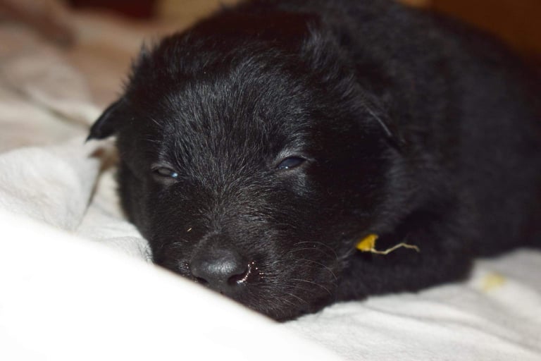 4 weeks old 2