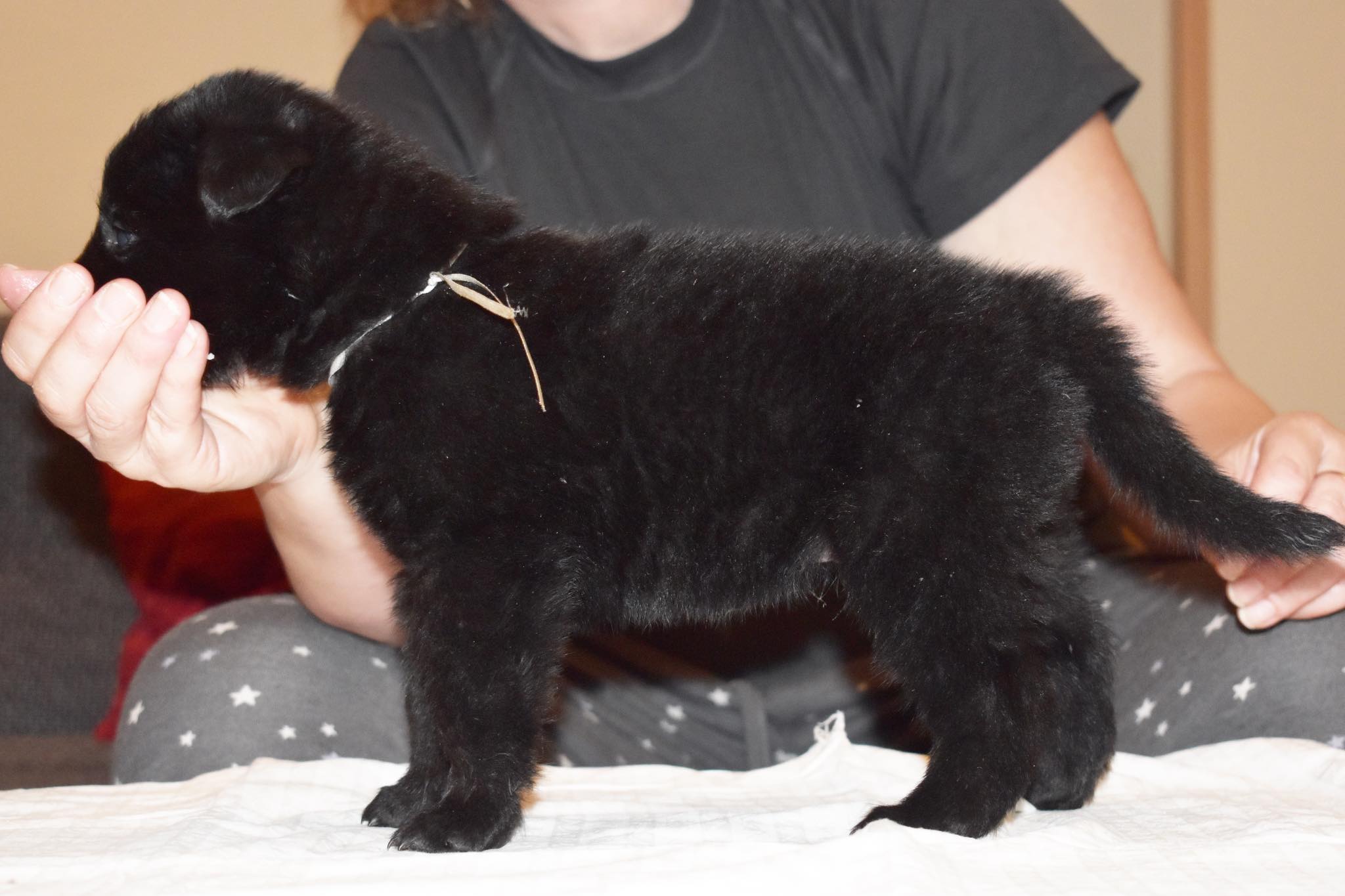 4 weeks old