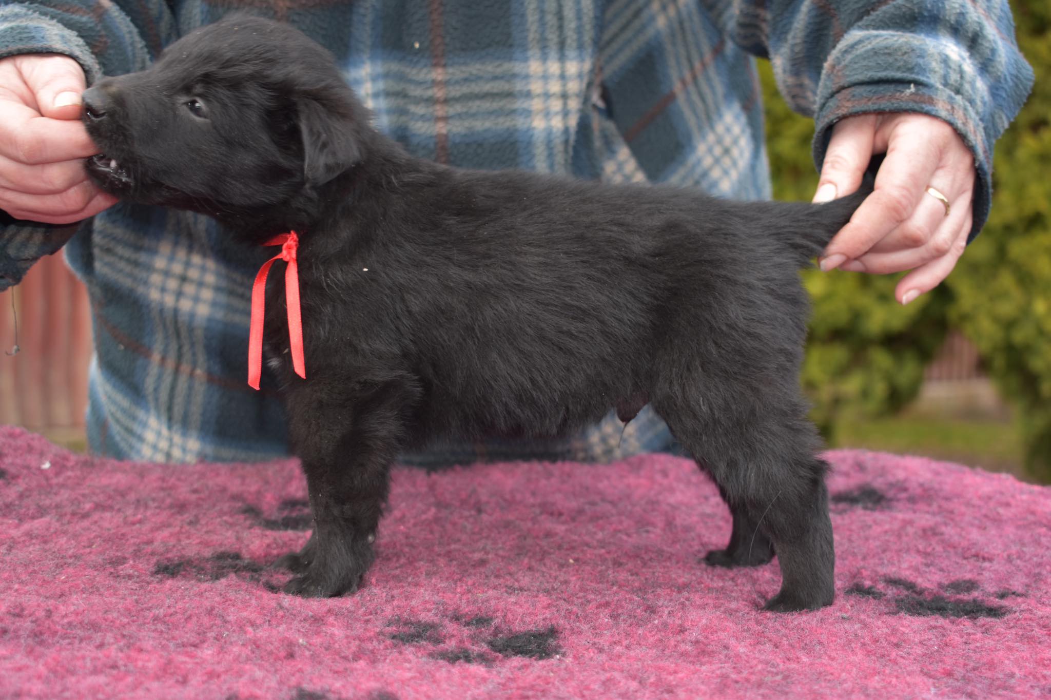 5 weeks old 1