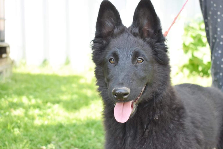 15 weeks old