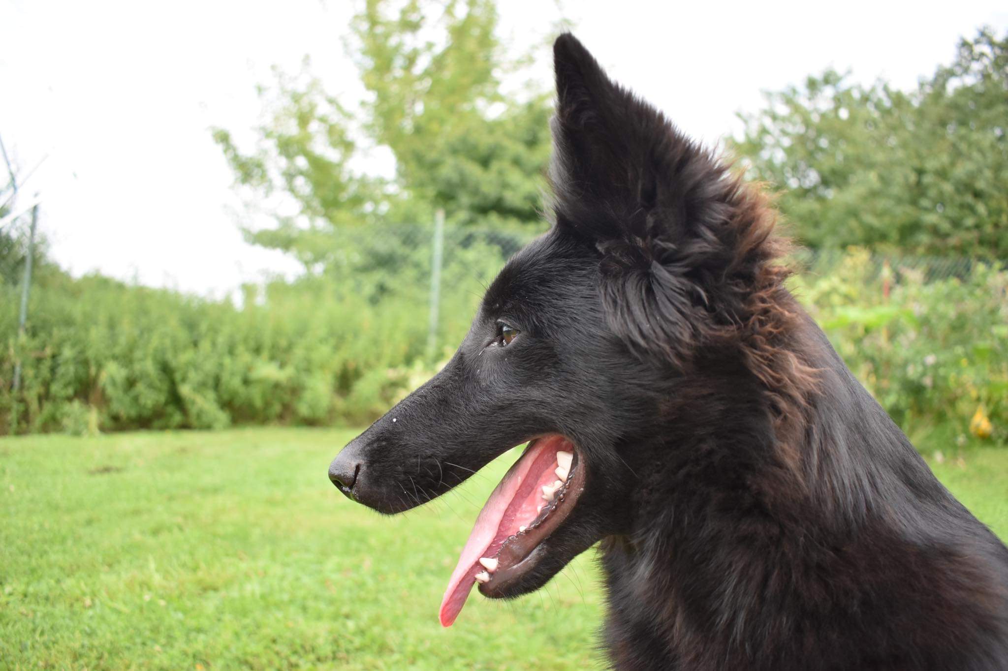 4.5 months old 3
