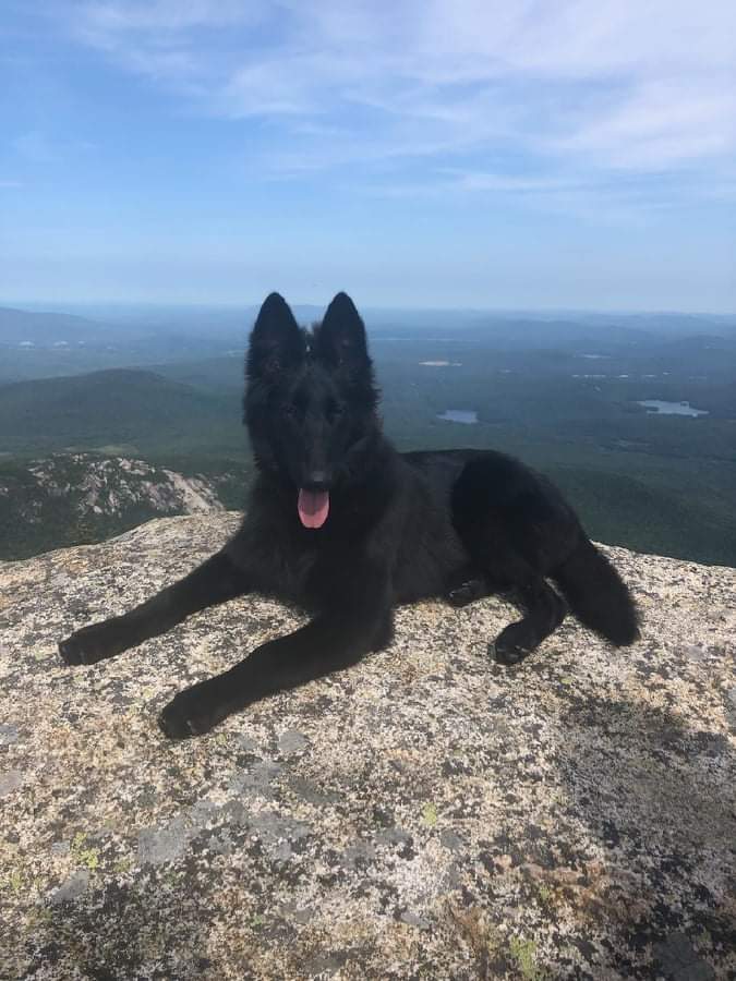 5.5 months old 4