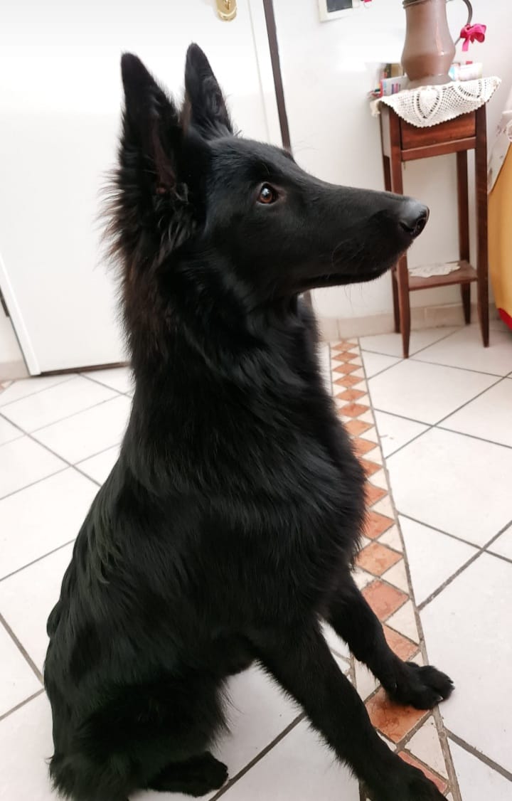 6 months old