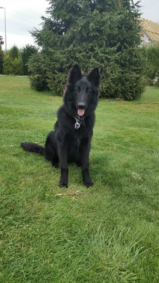 6 months old