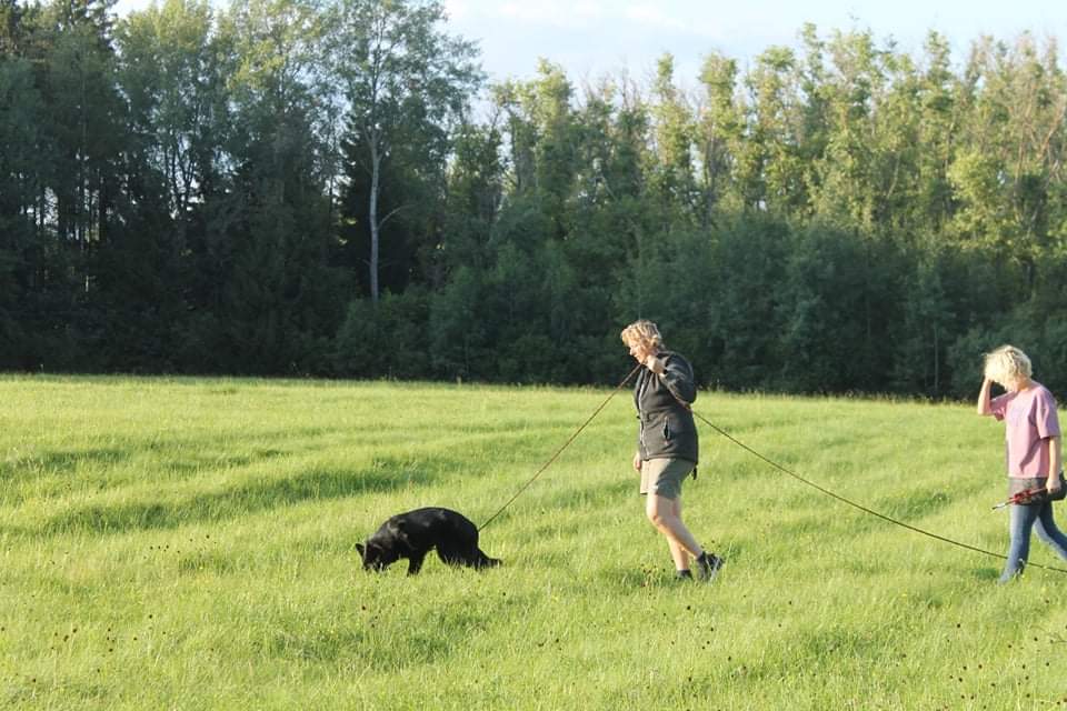 Výcvik 5