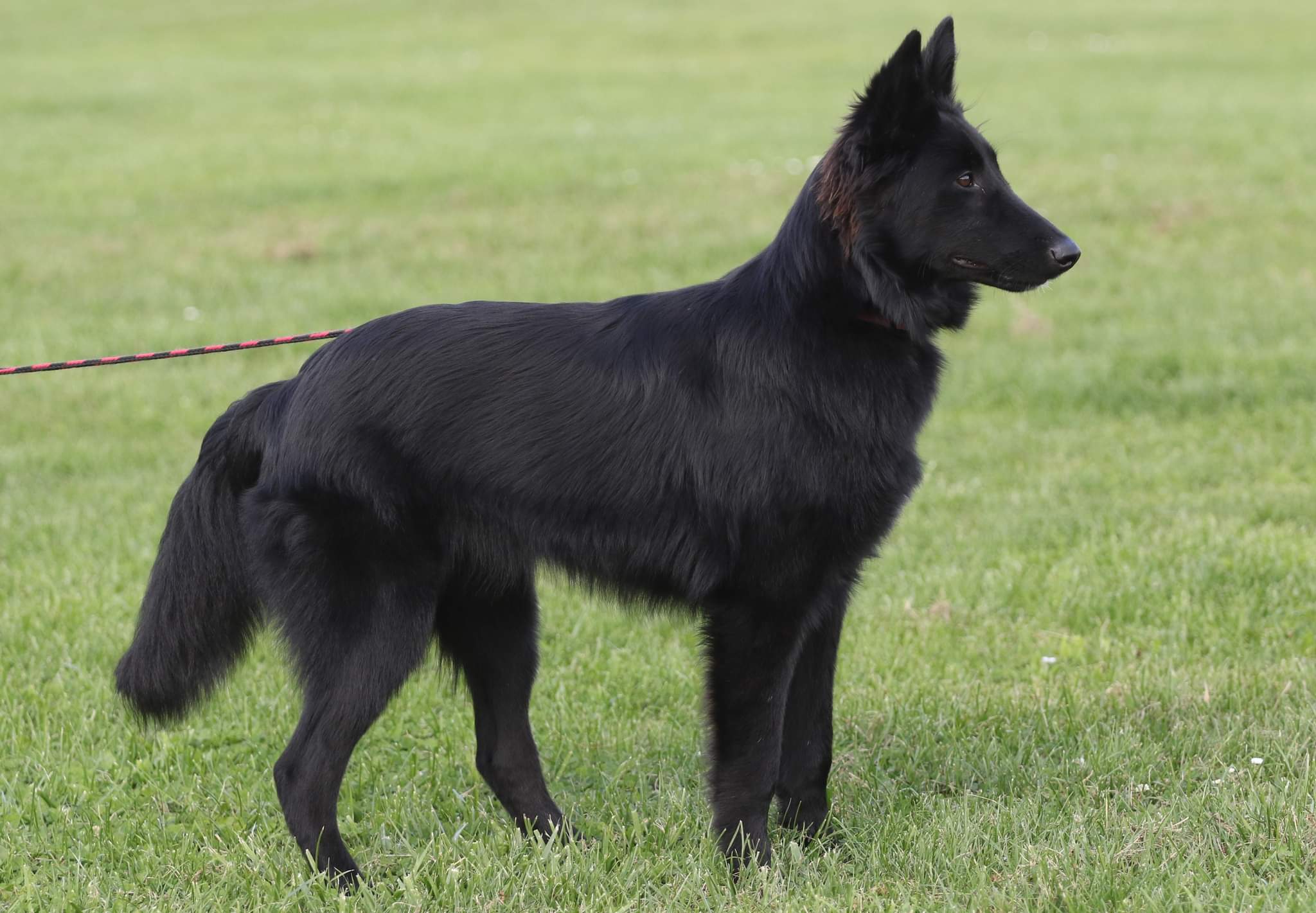 6.5 months old 3