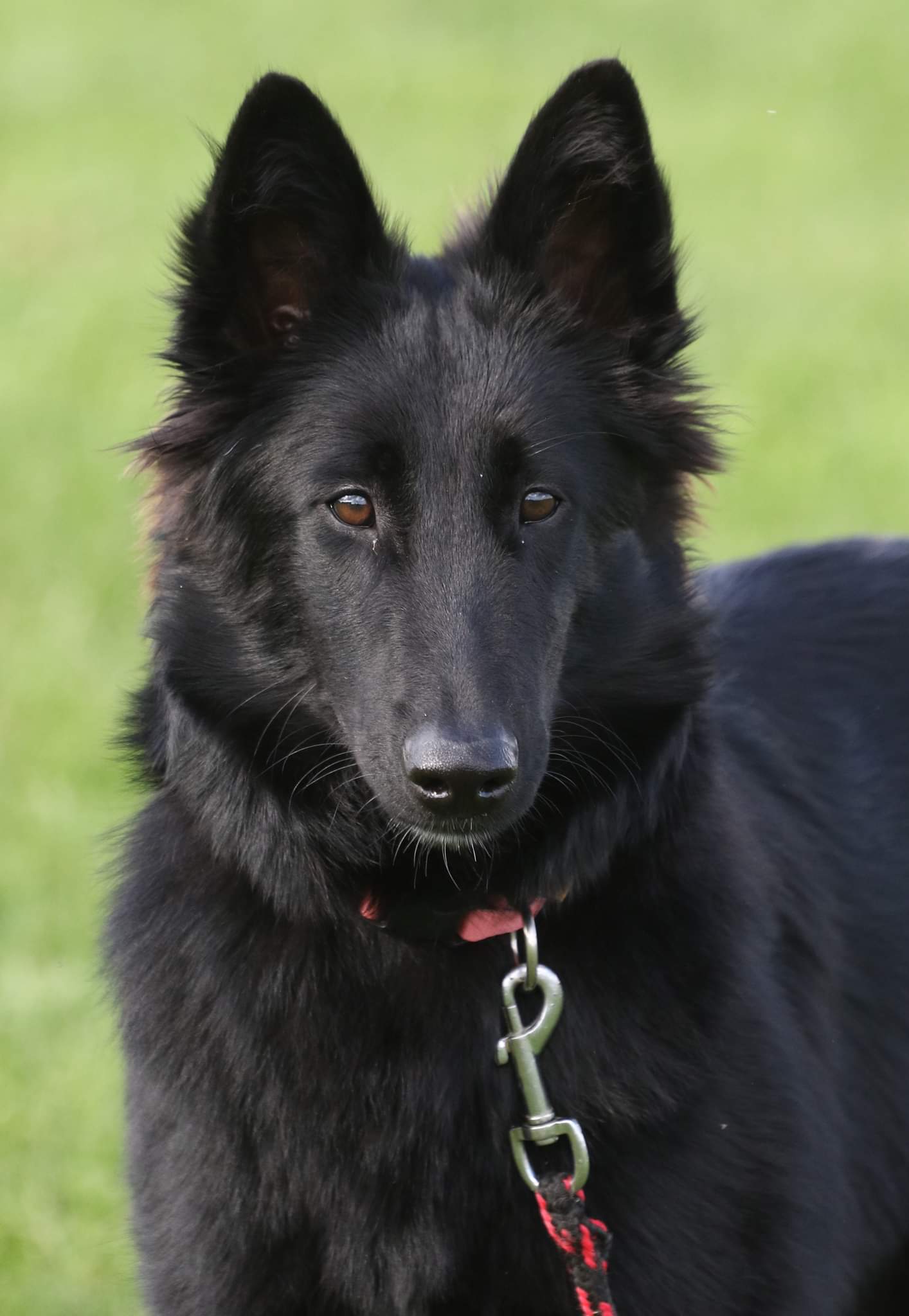 6.5 months old 4