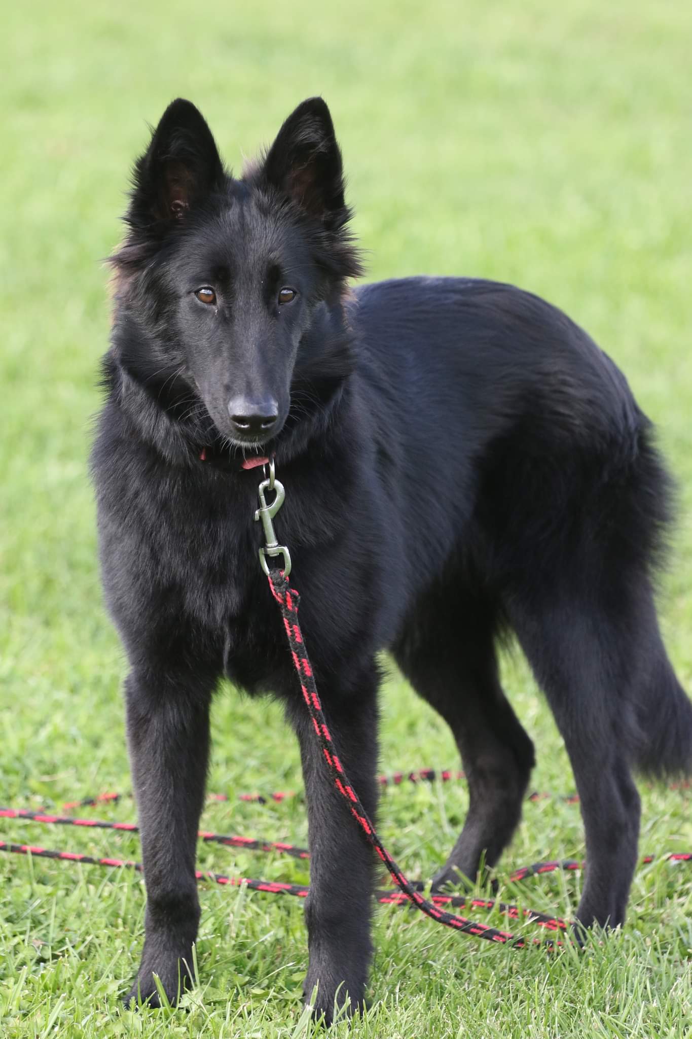 6.5 months old 10