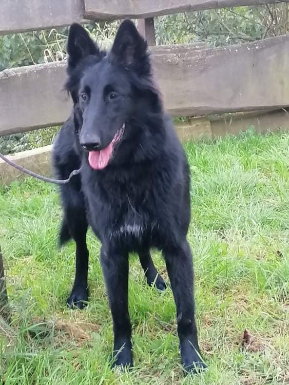 7 months old 1
