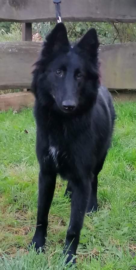 7 months old 2