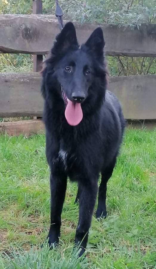 7 months old 3