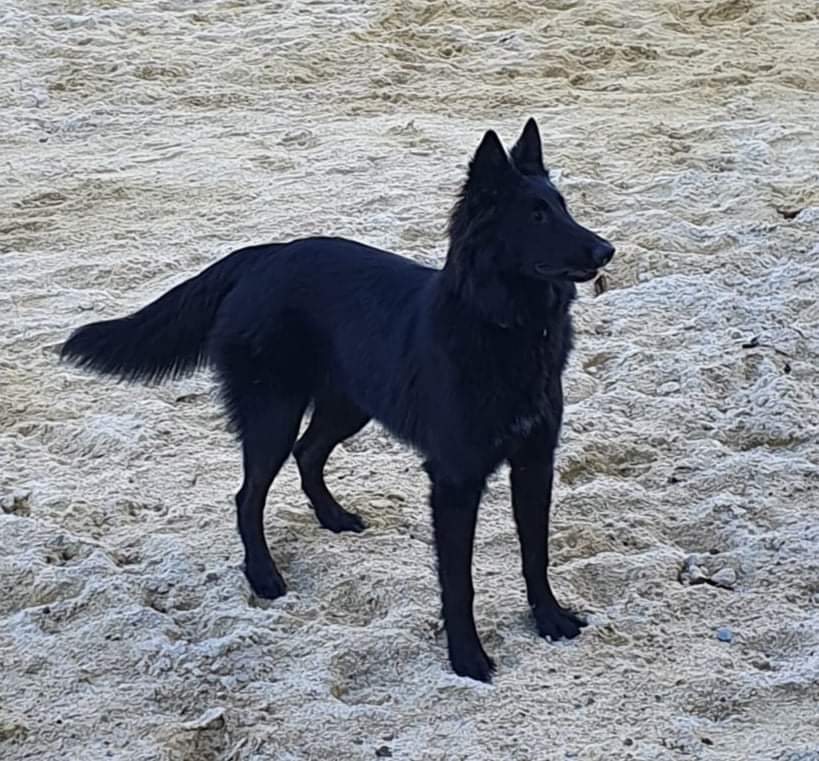 7 months old 4
