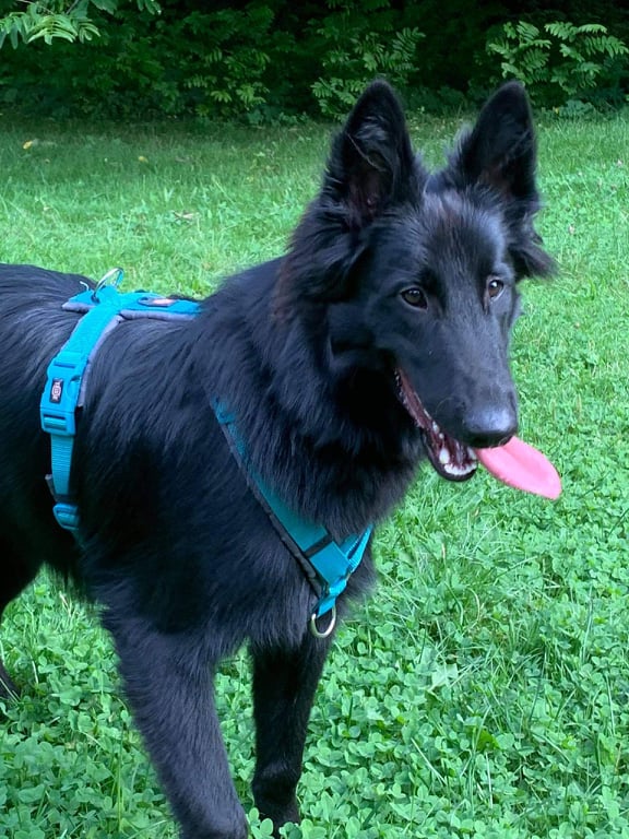 7 months old 1