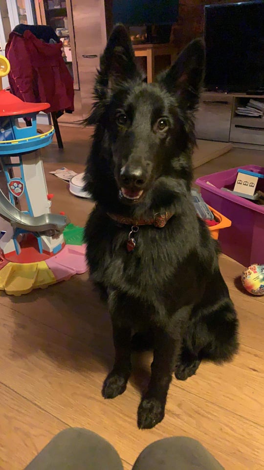 7 months old 2