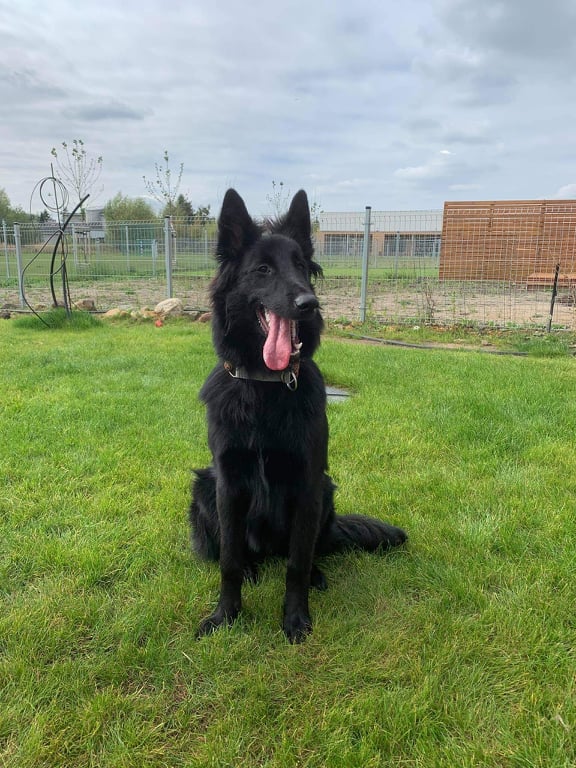 7 months old 3