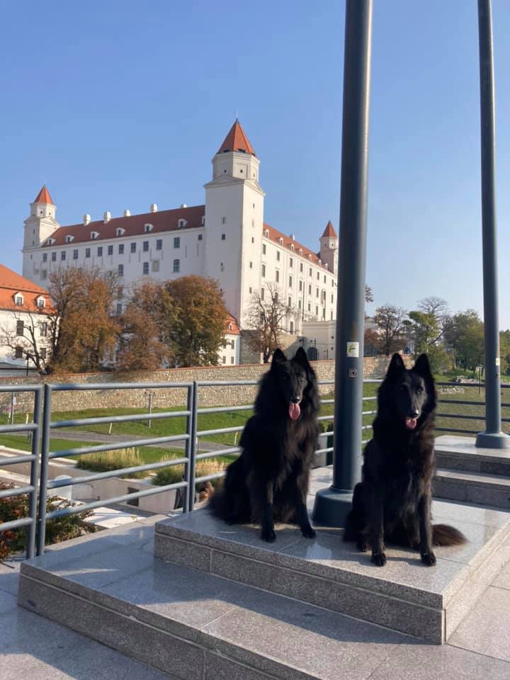 Výstava Bratislava 30.10.2021