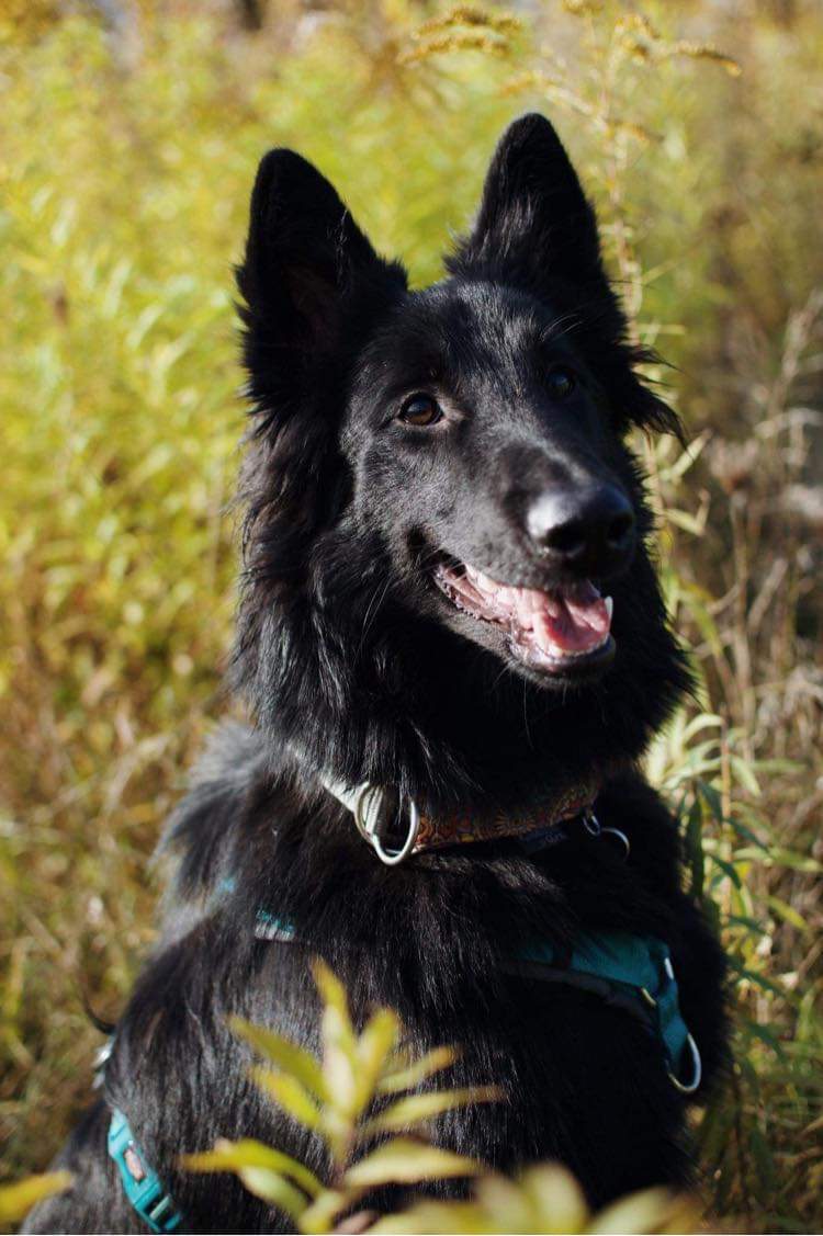 8 months old 2