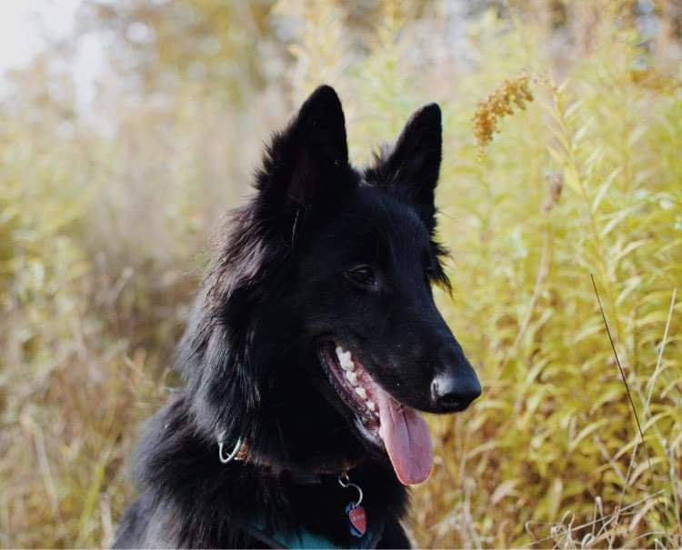 8 months old 4