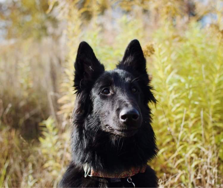 8 months old 5