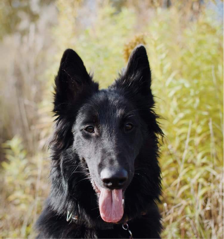 8 months old 6
